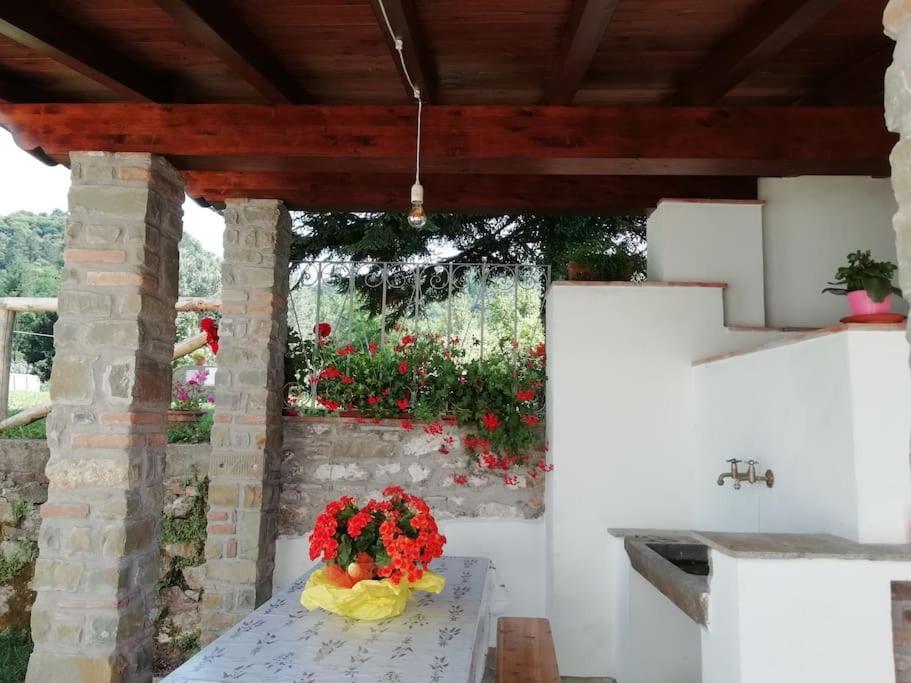 Ai Tre Campi Villa Fornaci di Barga Eksteriør billede